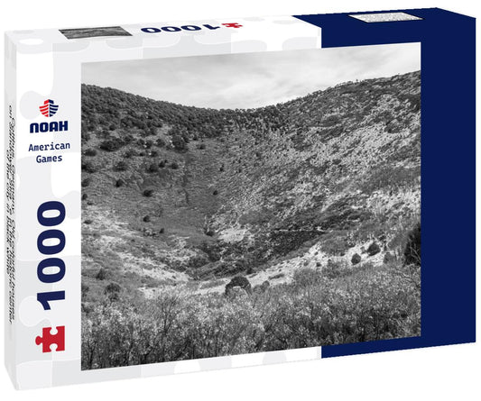 Noah Jigsaw Puzzle Cottbus, Germany. Old colorful houses on Sandower Straße in the historic center of the city in black white 1000 pieces