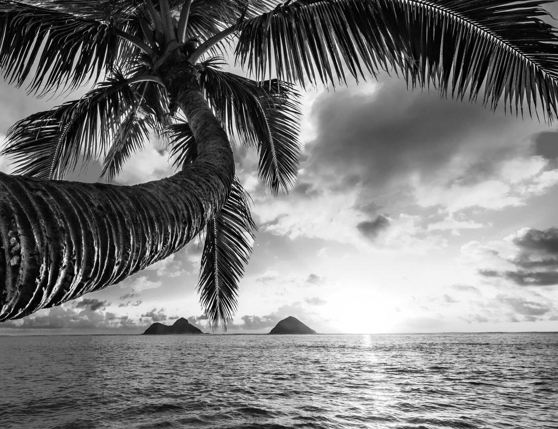 Noah Jigsaw Puzzle Chapel Bridge in Lucerne, Switzerland in black white 1000 pieces
