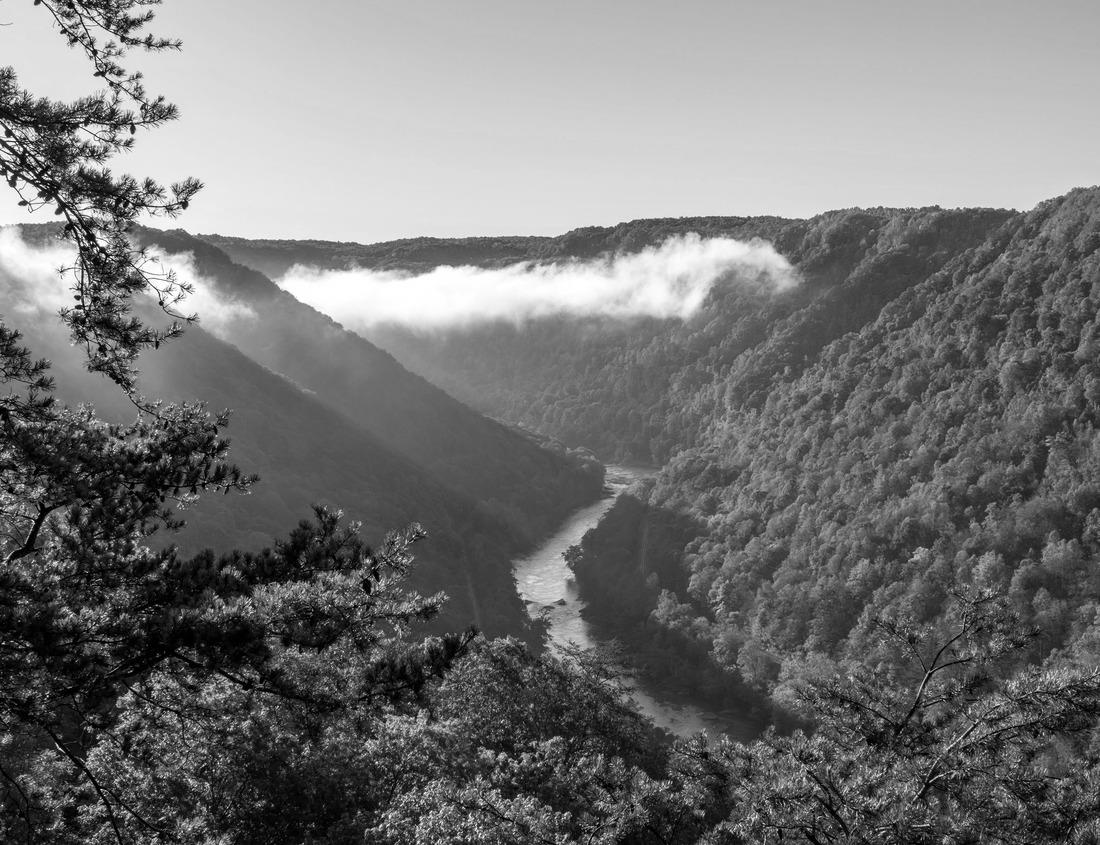 Noah Jigsaw Puzzle Morning view of the shore near Manhattan Beach and Redondo Beach, Los Angeles, California in black white 1000 pieces