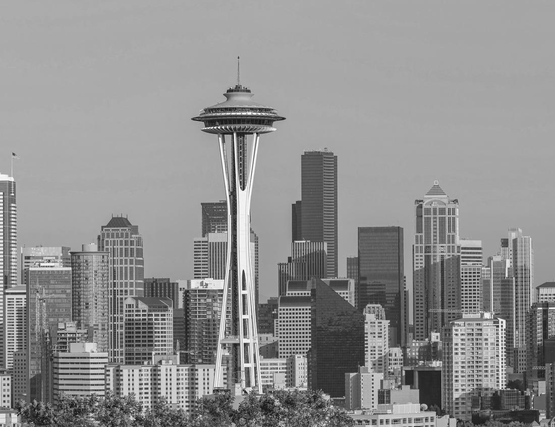 Noah Jigsaw Puzzle Beautiful landscape of Legnica city, Lower Silesia, Poland in black white 1000 pieces