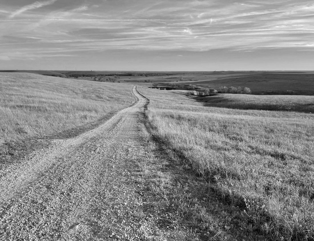 Noah Jigsaw Puzzle Beautiful architecture of the city of Legnica in Lower Silesia, Poland in black white 1000 pieces