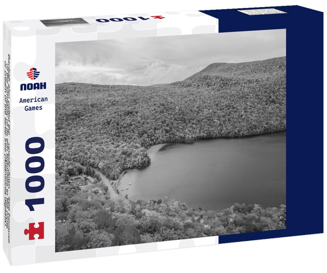 Noah Jigsaw Puzzle Baobab also called the “upside-down” tree because of the similarity of its thin branches to the roots or cream of the tartar tree (Adansonia digitata). Ruaha National Park. Tanzania in black white 1000 pieces