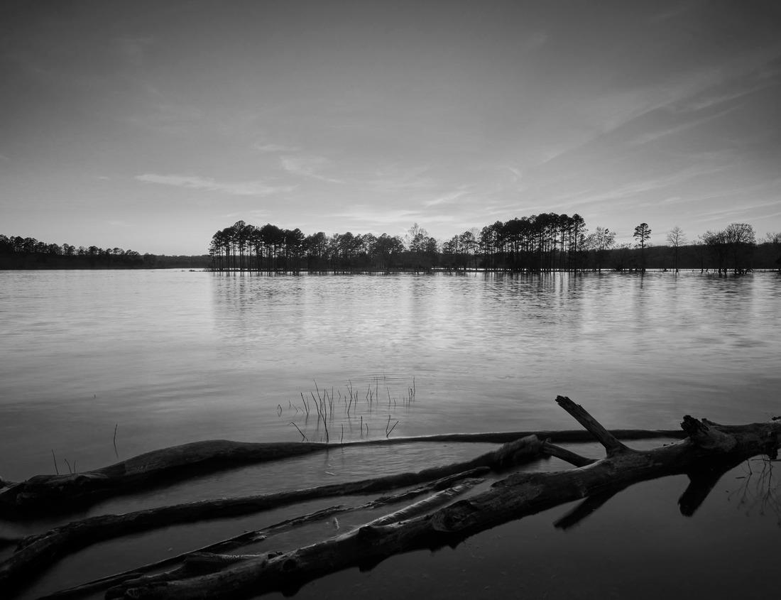 Noah Jigsaw Puzzle A deer as a symbol of the city of Jelenia Gora at the town hall square at dusk. Poland in black white 1000 pieces