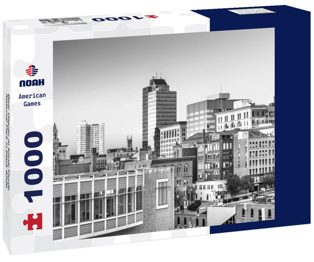 Noah Jigsaw Puzzle Bear Glacier at Kenai Fjords National Park in black white 1000 pieces