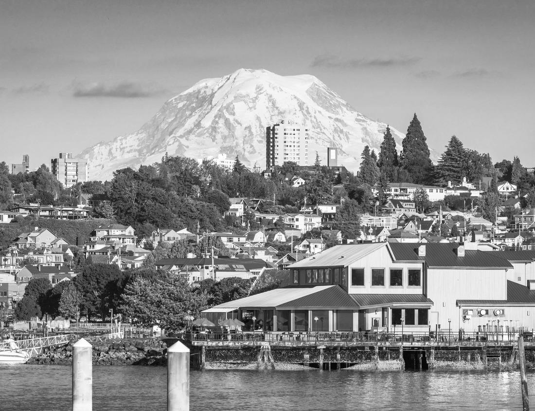 Noah Jigsaw Puzzle Garibaldi Statue with horse details in Rovigo in Italy in black white 1000 pieces
