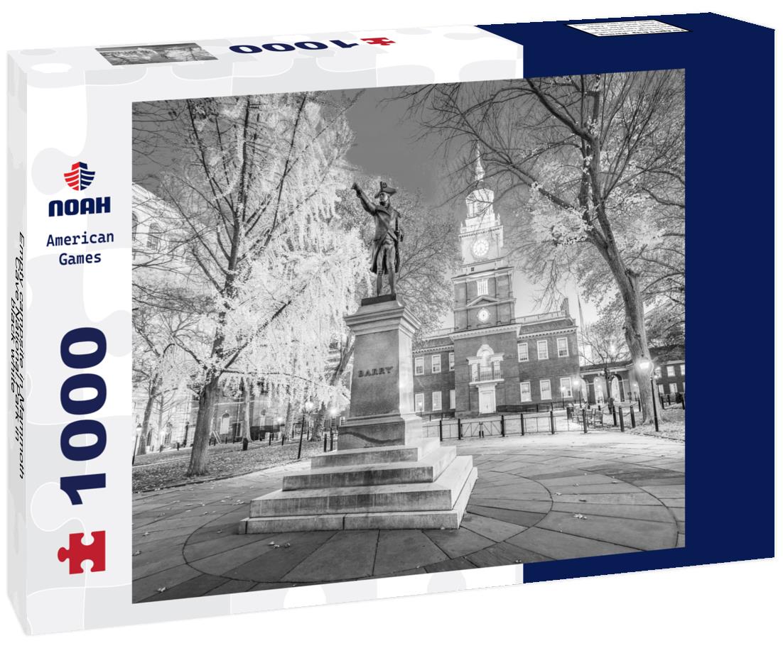 Noah Jigsaw Puzzle Empty campsite in Mammoth Cave National Park in black white 1000 pieces