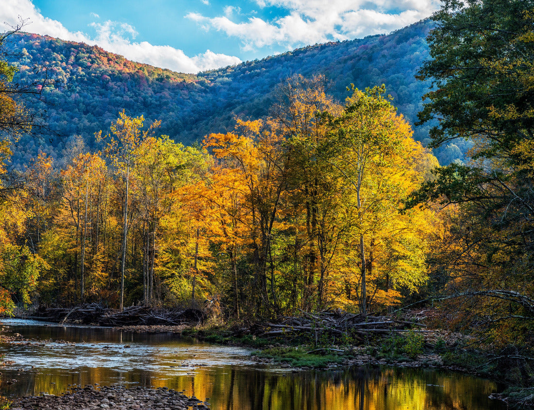 Noah Jigsaw Puzzle Fall color along Williams River, a mountain stream known for its trout, Monongahela National Forest, West Virginia, USA. 1000 pieces