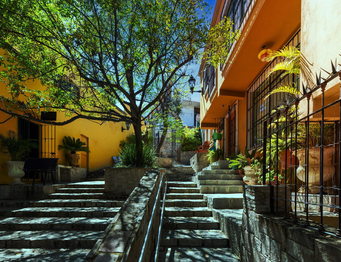 Noah Jigsaw Puzzle Durango, Victoria de Durango colorful colonial and historic city center near the central Plaza de Armas and the cathedral basilica 1000 pieces