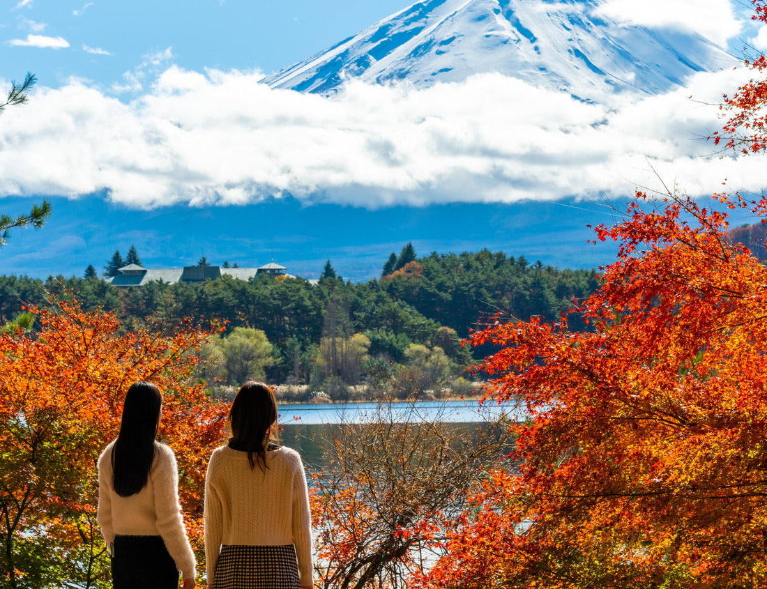 Noah Jigsaw Puzzle Lake Kawaguchi and Mt Fuji with looking beautiful red maple tree leaf falling 1000 pieces