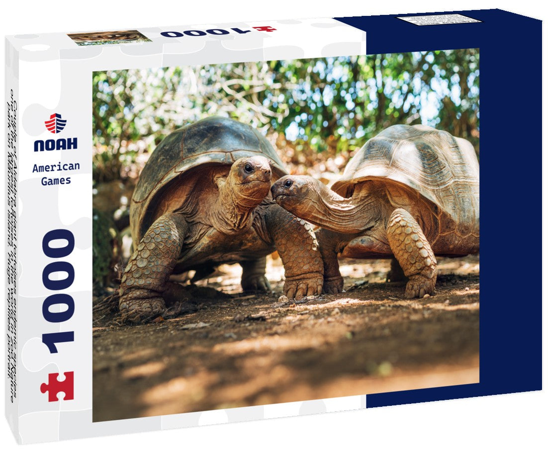 Noah Jigsaw Puzzle Couple of Aldabra giant tortoises endemic species - one of the largest tortoises in the world in zoo Nature park on Mauritius island. Huge reptiles portrait. Exotic animals, love and traveling concept 1000 pieces