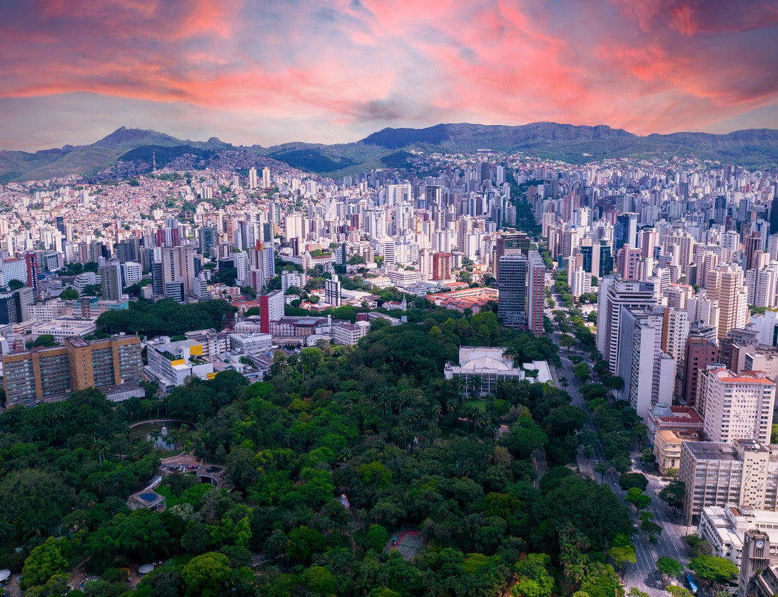 Noah Jigsaw Puzzle Aerial view of the Américo Renné Giannetti Park, Belo Horizonte, Minas Gerais, Brazil. City center 1000 pieces