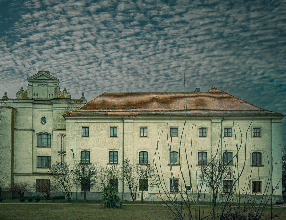 Noah Jigsaw Puzzle Bernardine church in the town of Lowicz, Poland 1000 pieces