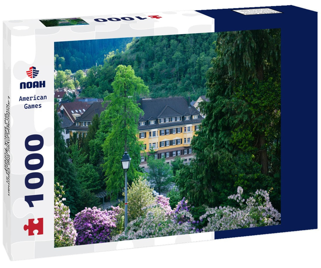 Noah Jigsaw Puzzle Landscape over the German town of Schramberg in the Black Forest 1000 pieces
