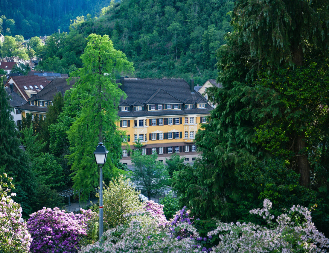Noah Jigsaw Puzzle Landscape over the German town of Schramberg in the Black Forest 1000 pieces