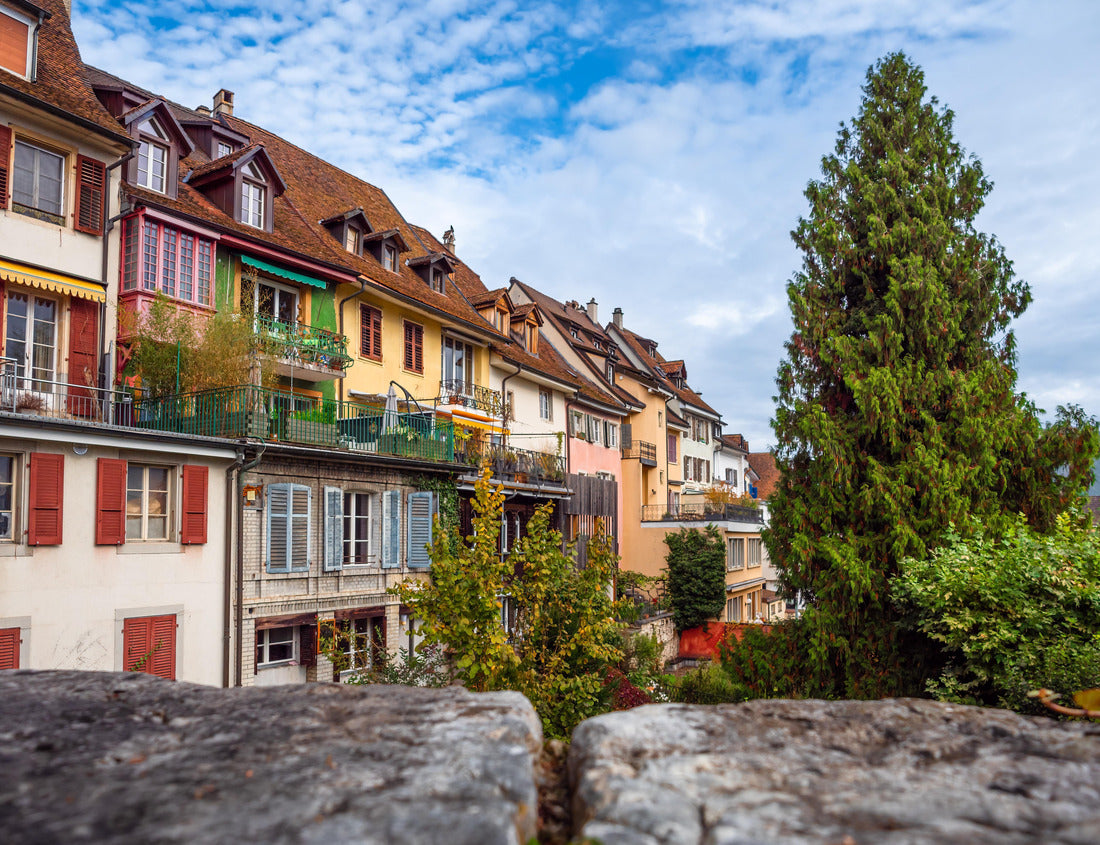 Noah Jigsaw Puzzle Delemont is the capital of the Swiss canton of Jura 1000 pieces