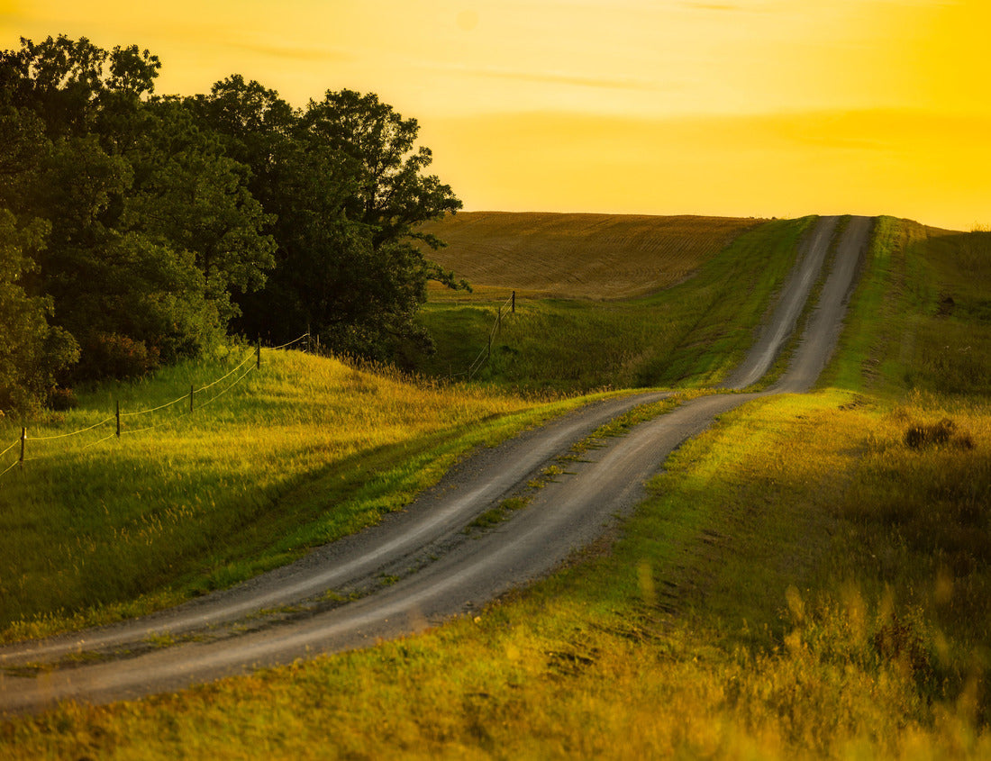 Noah Jigsaw Puzzle A beautiful shot of tire tracks on rural prairies under a Manitoba sunset 1000 pieces