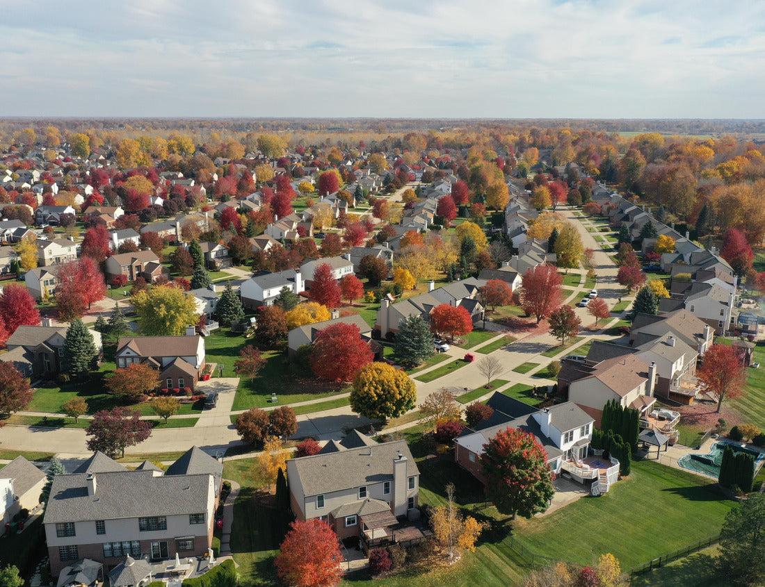 Noah Jigsaw Puzzle Fall foliage at its finest in Macomb, Michigan - a mesmerizing aerial view of a vibrant suburban neighborhood with colorful trees and small backyard ponds 1000 pieces