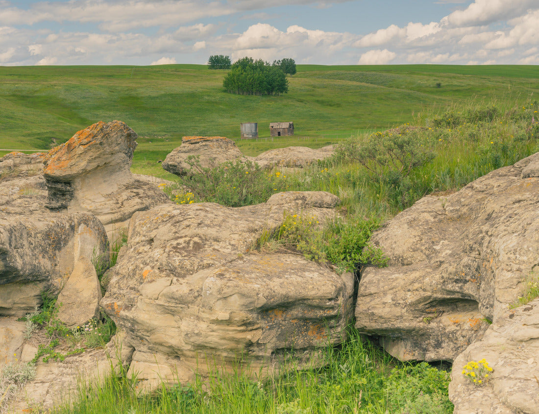 Noah Jigsaw Puzzle Close-up of rock formations and view of Alberta farmland, Canada 1000 pieces