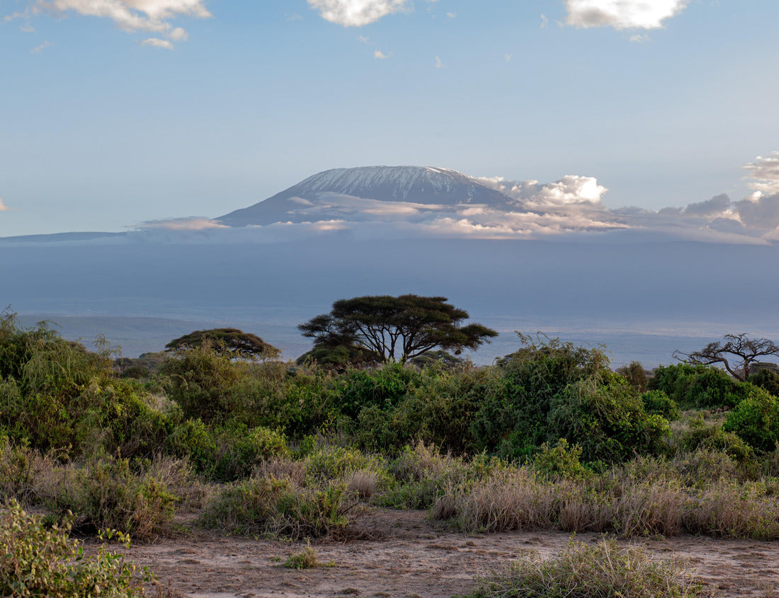 Noah Jigsaw Puzzle Evening atmosphere at Kilimanjaro in Kenya 1000 pieces