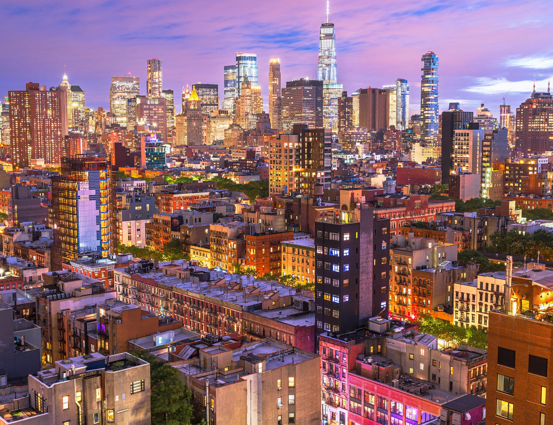 Noah Jigsaw Puzzle New York, New York, USA Lower Manhattan city skyline rooftop view at dusk 1000 pieces