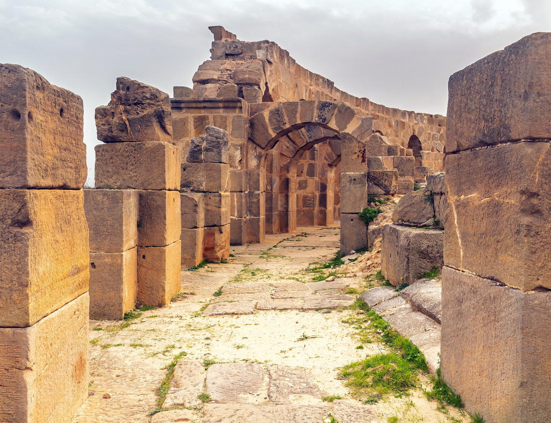 Noah Jigsaw Puzzle Discover Uthina. Tunisia's remarkable archaeological site on the road to Zaghouan 1000 pieces