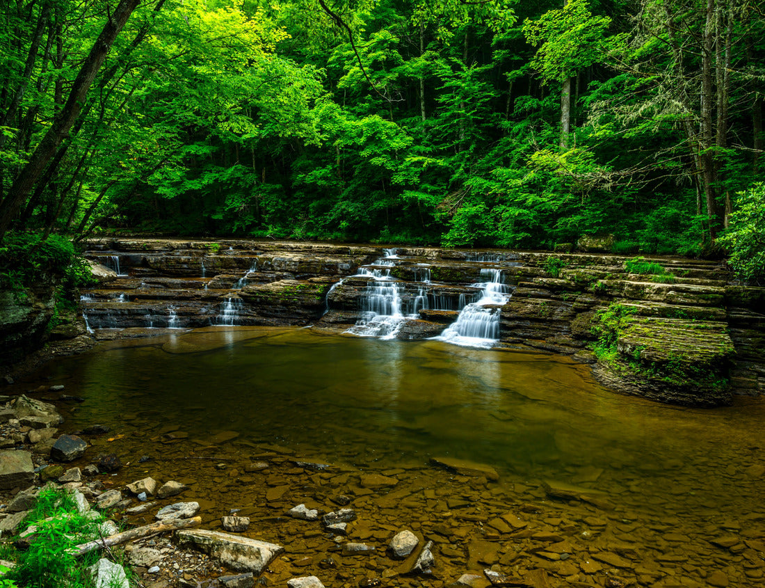 Noah Jigsaw Puzzle Campbell Falls Camp Creek State Park, West Virginia, USA 1000 pieces