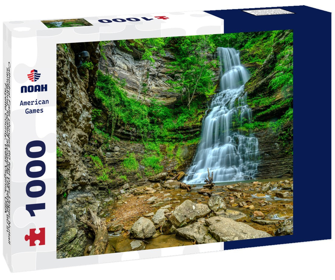 Noah Jigsaw Puzzle Cathedral Falls plunges 60 feet over Upper Nuttall sandstone, located alongside US Route 60 in Fayette County, West Virginia, USA 1000 pieces