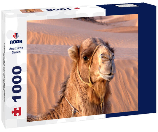 Noah Jigsaw Puzzle Close-up of a camel in the Sahara, outside Douz, Tunisia 1000 pieces