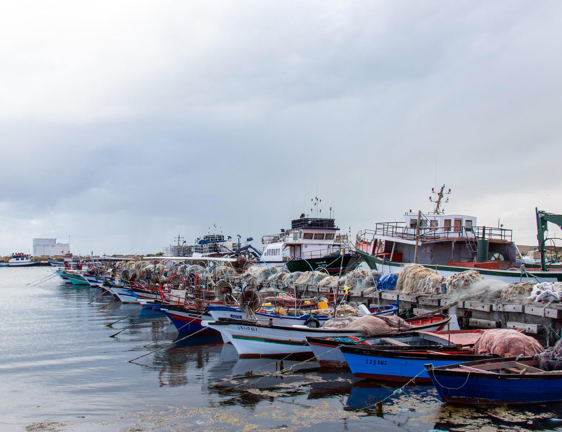 Noah Jigsaw Puzzle Fishing harbor - Kechla, Ghar al Milh, Ghar El Melh, Bizerte, Tunisia 1000 pieces