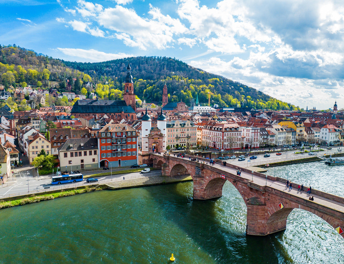 Noah Jigsaw Puzzle Heidelberg City panorama in spring 1000 pieces