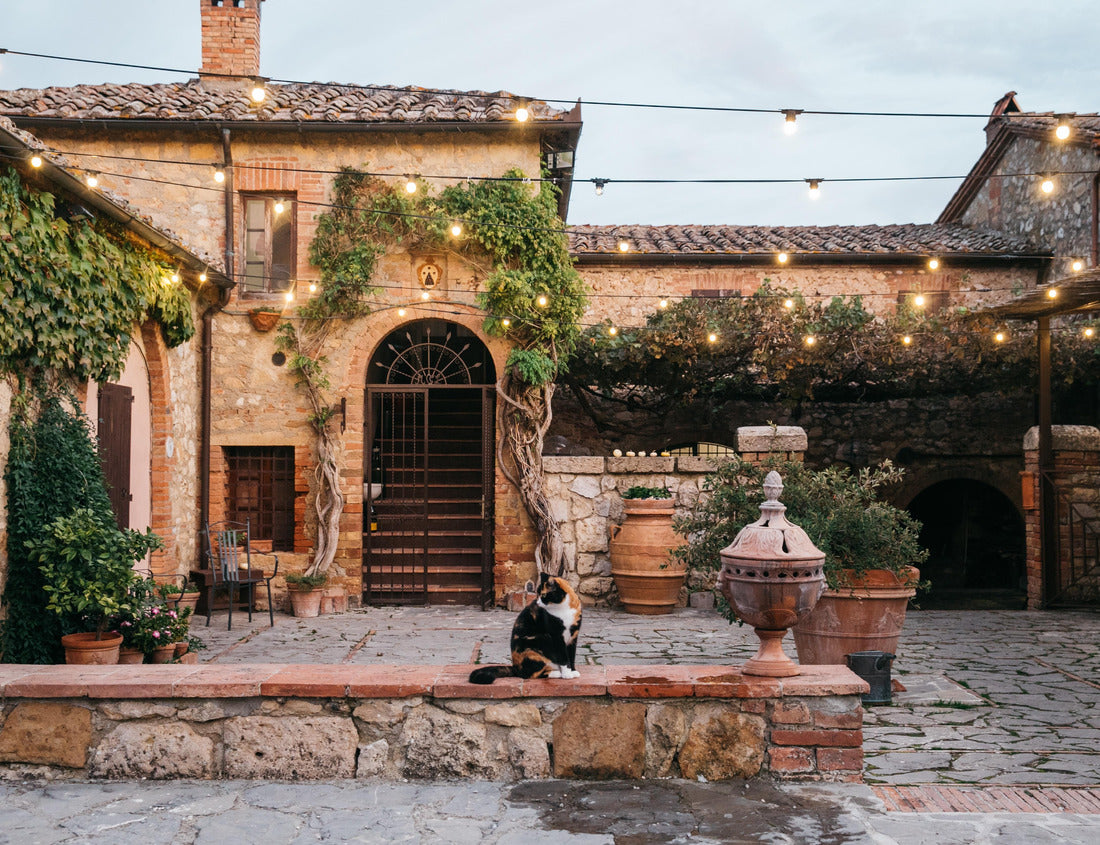 Noah Jigsaw Puzzle Building with vines in Tuscany, Italy with cat at sunset 1000 pieces