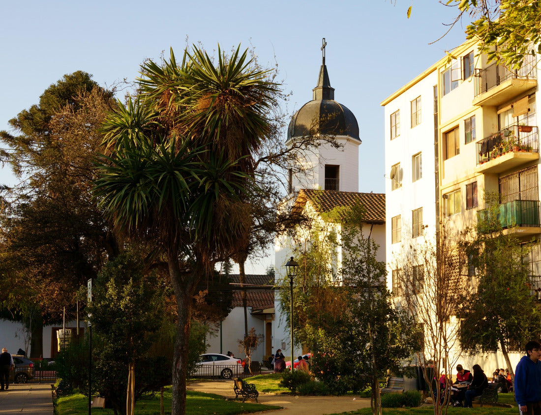 Noah Jigsaw Puzzle Central district Rancagua Chile. Church of Mercy 1000 pieces