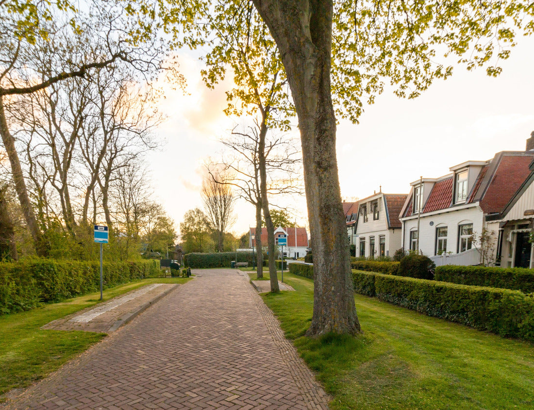 Noah Jigsaw Puzzle A road with a bus stop on the first island of Schiermonnikoog 1000 pieces