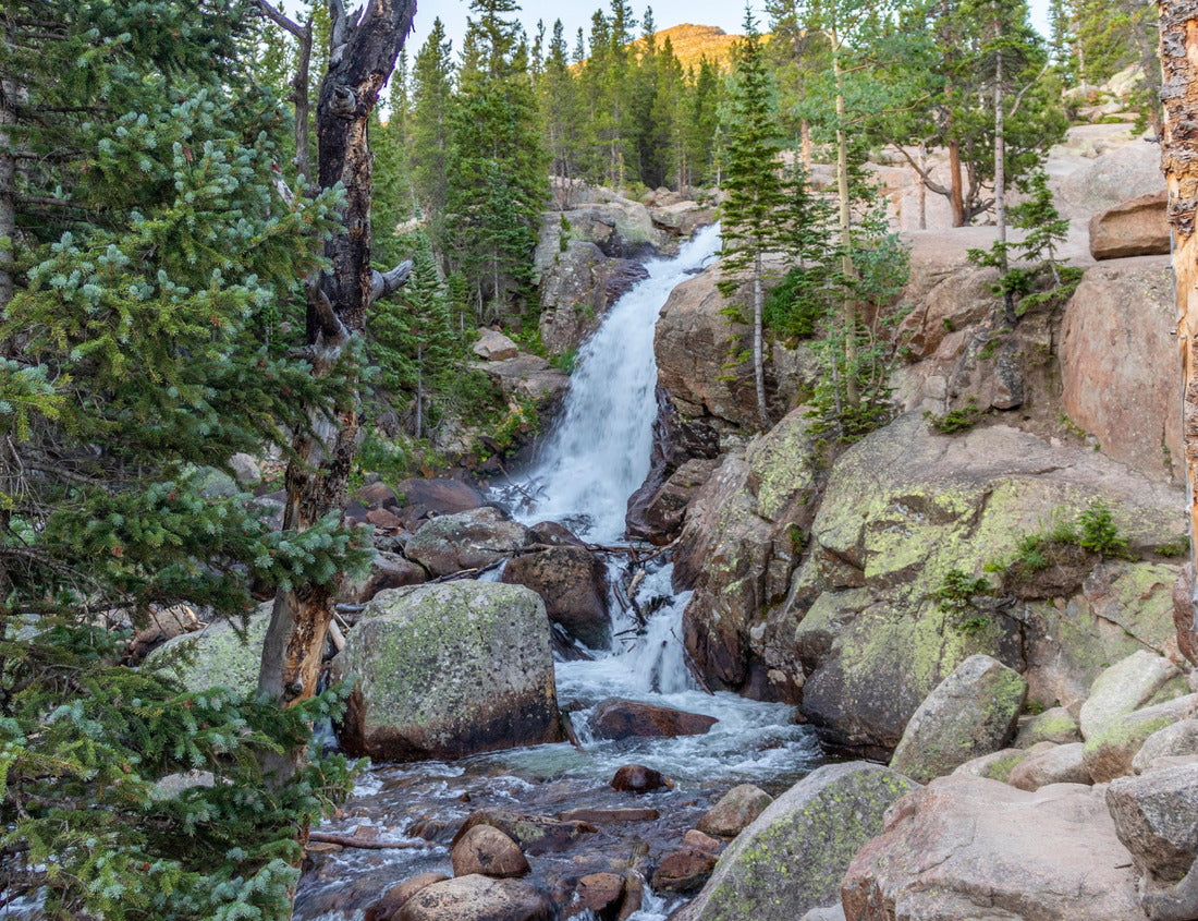 Noah Jigsaw Puzzle Alberta Falls Rocky Mountain National Park 1000 pieces