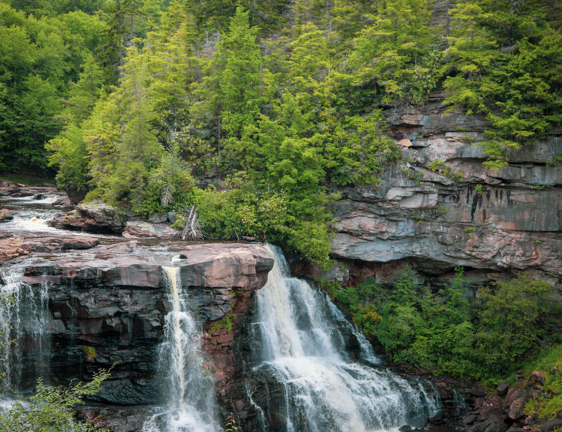Noah Jigsaw Puzzle Blackwater Falls West Virginia Stream Landscape 1000 pieces