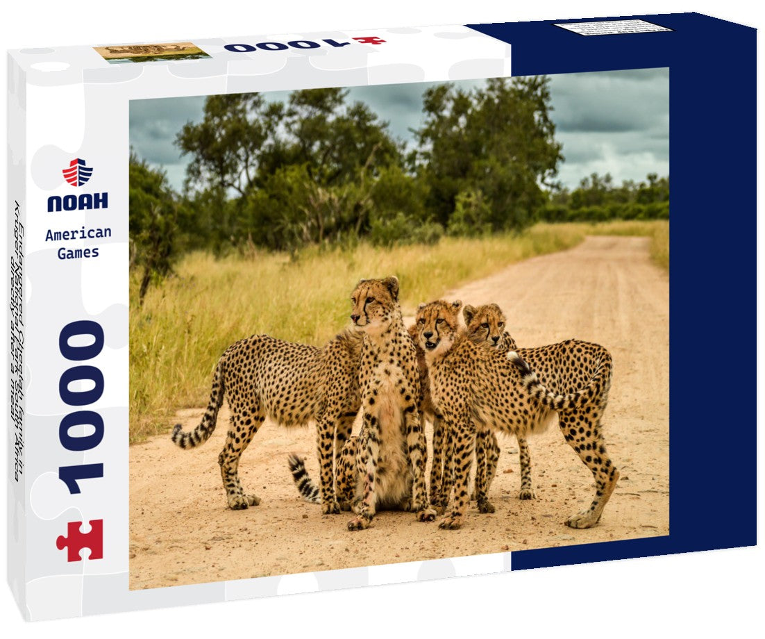 Noah Jigsaw Puzzle Endangered Cheetah family in Kruger National Park South Africa directly after a meal 1000 pieces