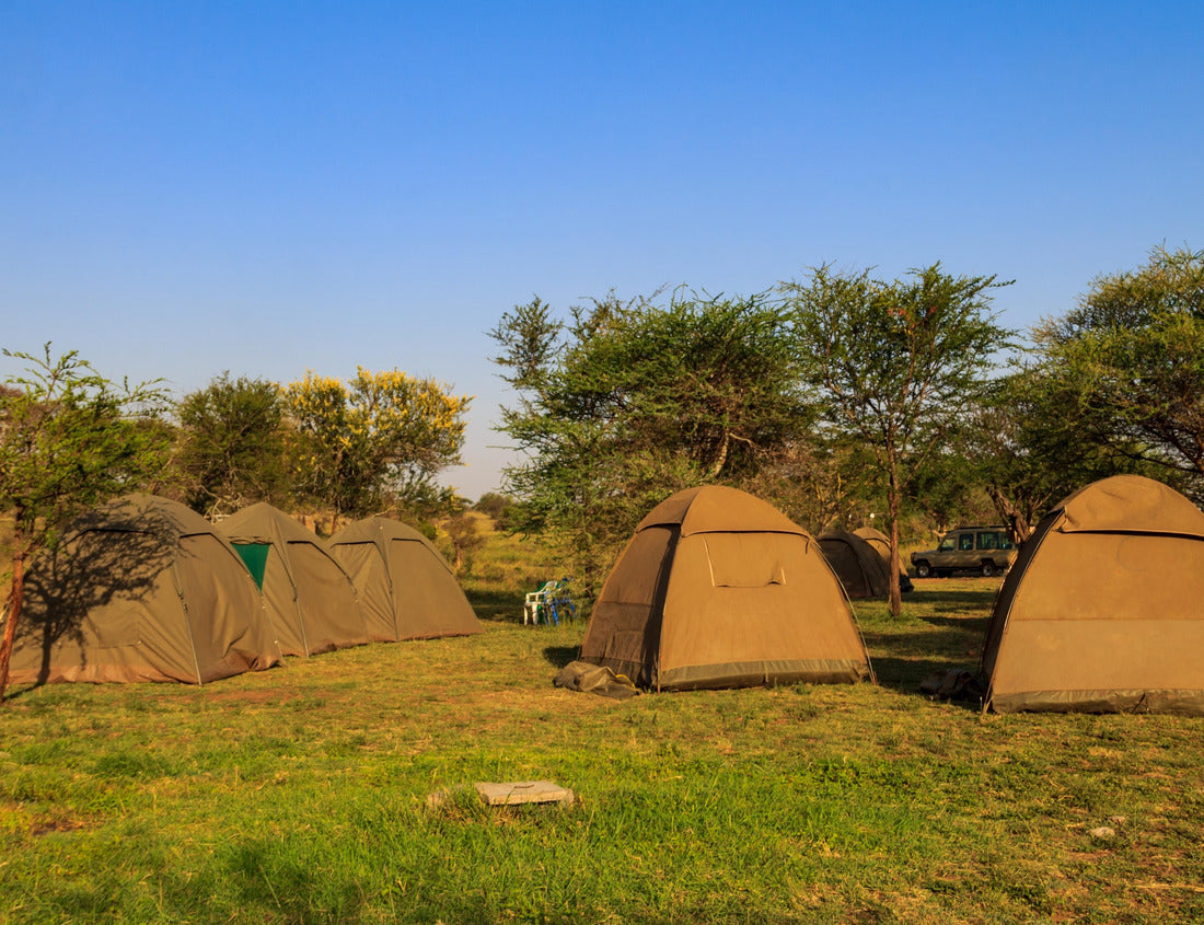 Noah Jigsaw Puzzle Campsite safari in Serengeti National Park, Tanzania 1000 pieces