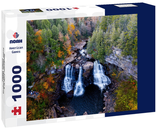 Noah Jigsaw Puzzle Blackwater Falls in a forest, Davis, West Virginia, United States 1000 pieces