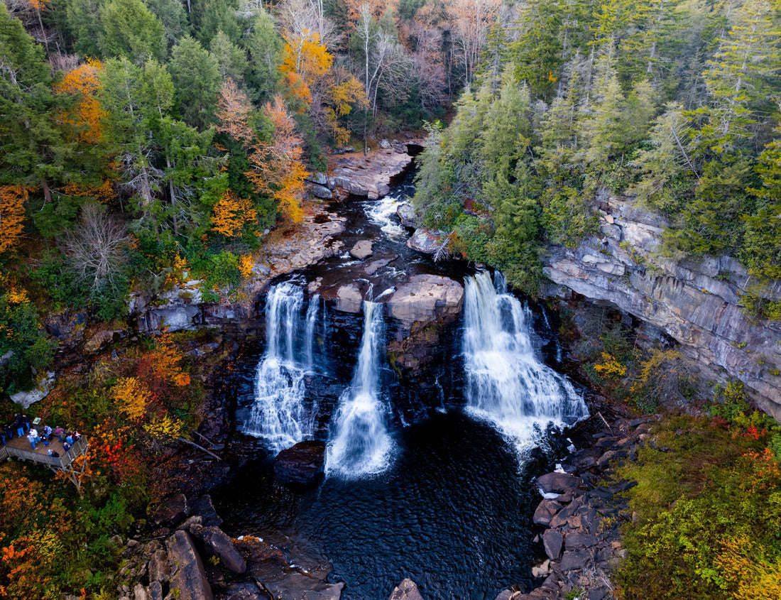 Noah Jigsaw Puzzle Blackwater Falls in a forest, Davis, West Virginia, United States 1000 pieces