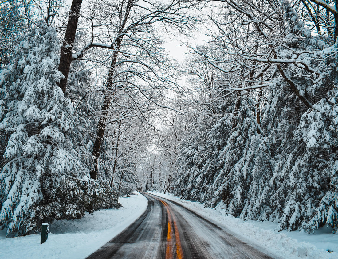 Noah Jigsaw Puzzle Icy road in Coopers Rock State Forest, West Virginia 1000 pieces