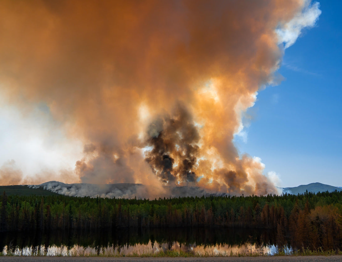 Noah Jigsaw Puzzle A forest fire has occurred in the Yukon Territory, Canada, creating smoke that fills the sky and obscures even the sunshine 1000 pieces