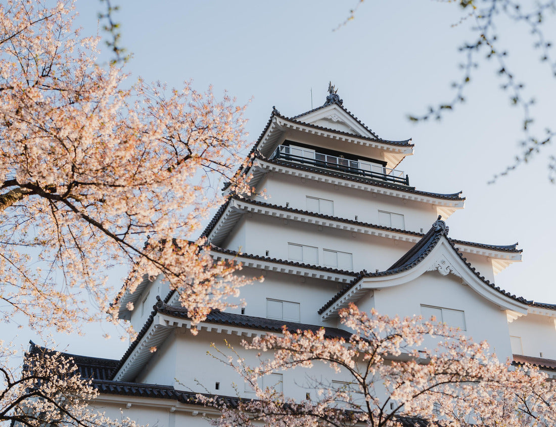 Noah Jigsaw Puzzle Aizu-Wakamatsu Castle, also called Tsuruga Castle, is a concrete replica of a traditional Japanese castle in northern Japan 1000 pieces