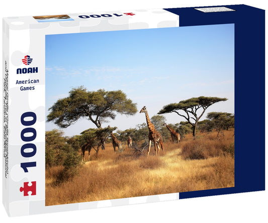 Noah Jigsaw Puzzle Maasai Giraffe (Giraffa tippelskirchi) and Umbrella Tree in Serengeti National Park, Tanzania, East Africa 1000 pieces
