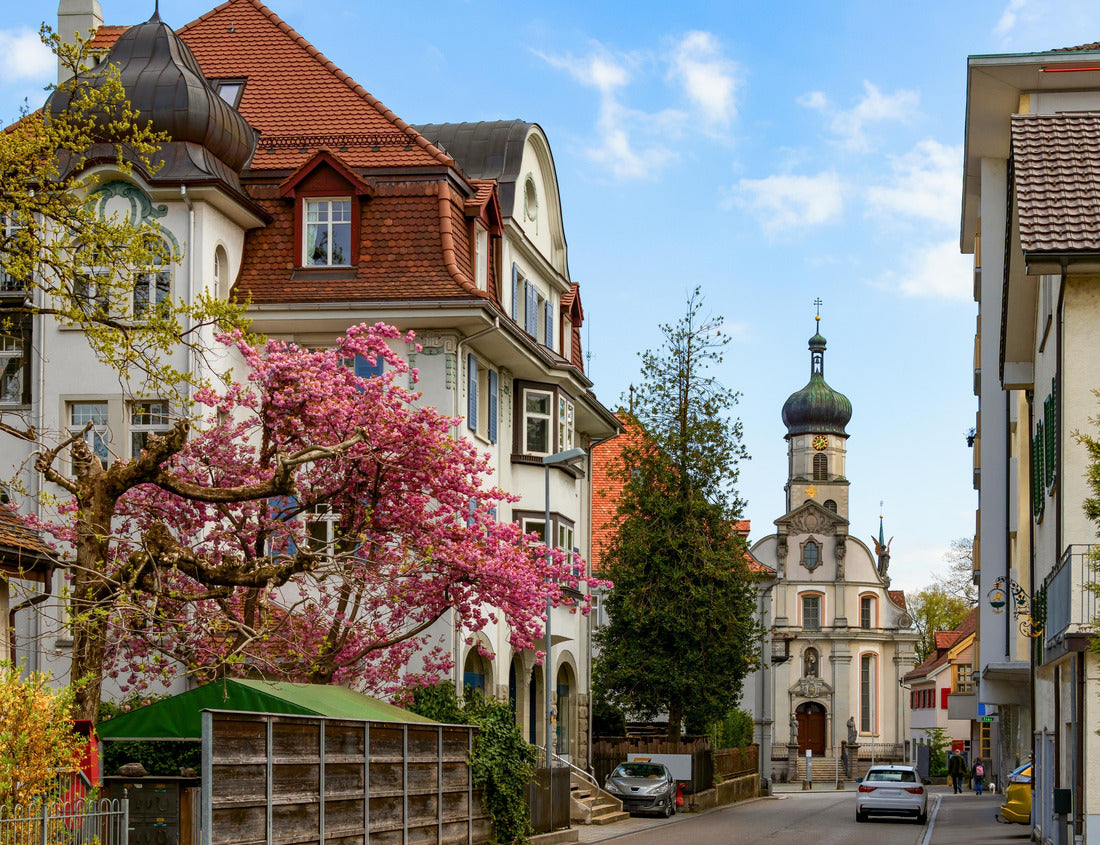 Noah Jigsaw Puzzle A picturesque street in the city of St. Gallen with houses in the traditional Swiss style under blossoming trees, an old church in the background 1000 pieces