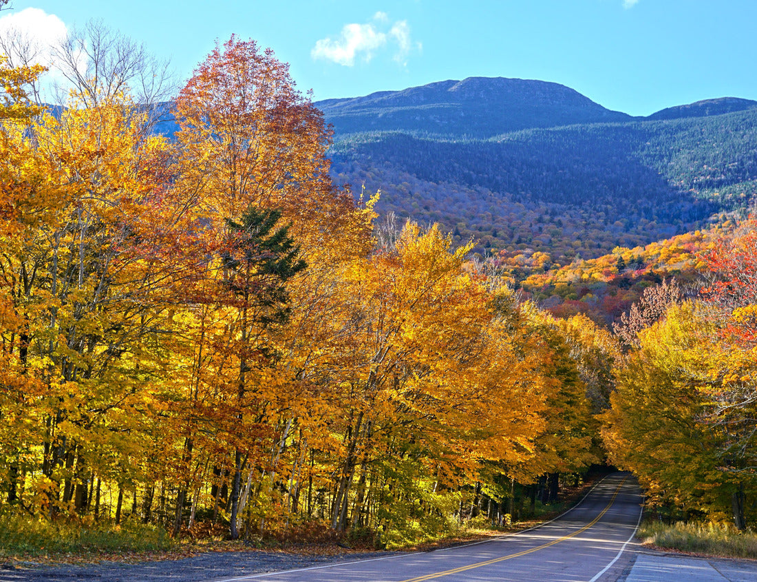 Noah Jigsaw Puzzle Autumn colors at the start of Smuggler's Notch with Mount Mansfield behind, Vermont, USA 1000 pieces