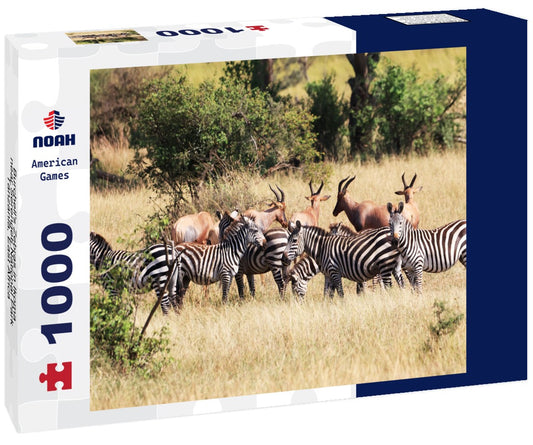 Noah Jigsaw Puzzle Burchell's Zebras in Ikoma, near Serengeti National Park, Tanzania, East Africa 1000 pieces