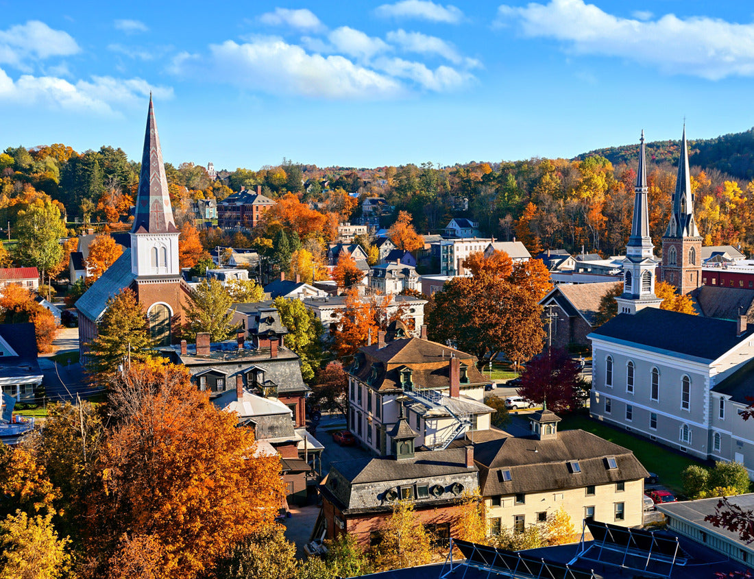 Noah Jigsaw Puzzle Autumn view over the historic city of Montpelier, Vermont, USA with church spires and colorful fall leaves 1000 pieces