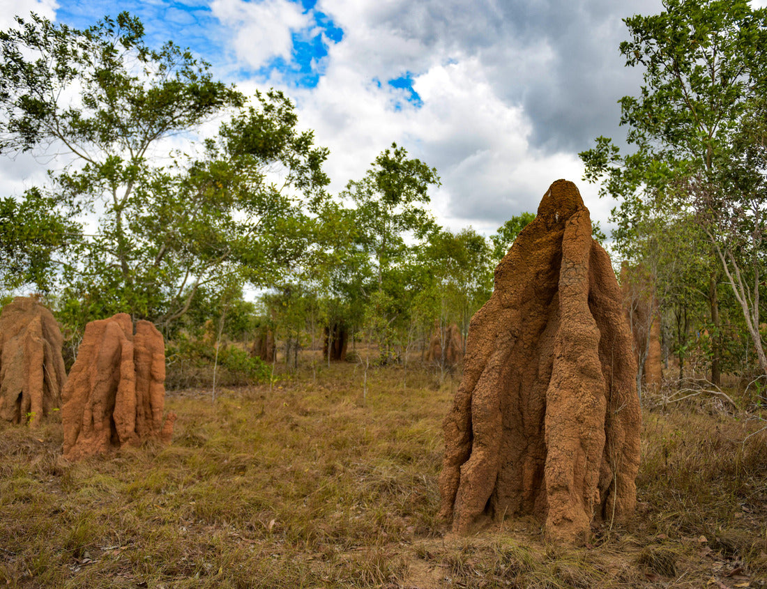 Noah Jigsaw Puzzle Ant House or MUSAMUS, a tourist icon in Merauke, South Papua, Indonesia 1000 pieces