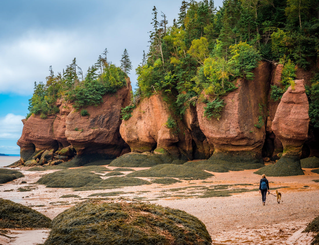 Noah Jigsaw Puzzle Hopewell Rocks Provincial Park, Bay of Fundy, Hopewell Cape, New Brunswick, Canada 1000 pieces