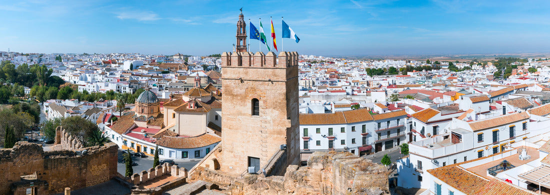 Noah Jigsaw Puzzle Homage Tower of San Pedro Fortress Carmona city in Seville province of Andalusia in Spain Panorama 1000 Pieces